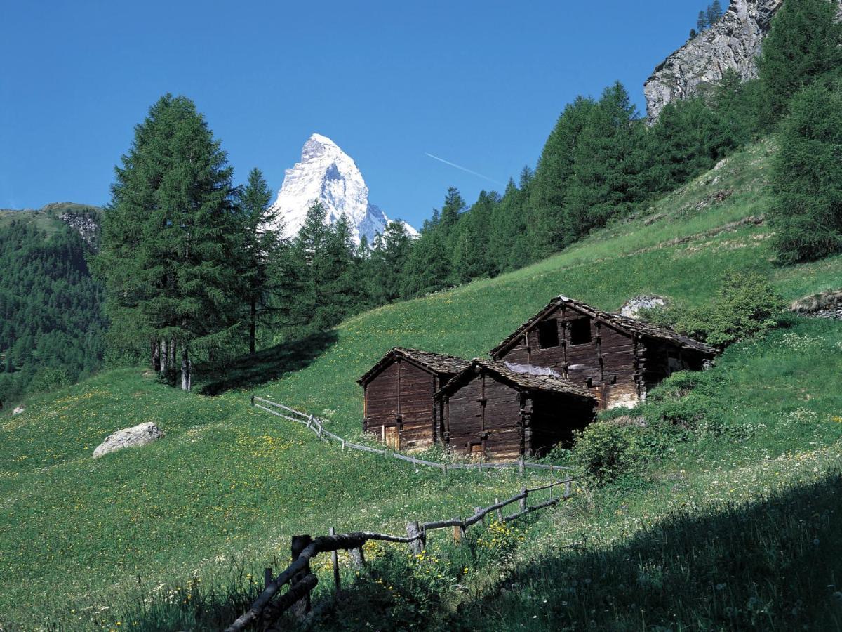 Apartment Haus Rollin By Interhome Zermatt Exteriör bild